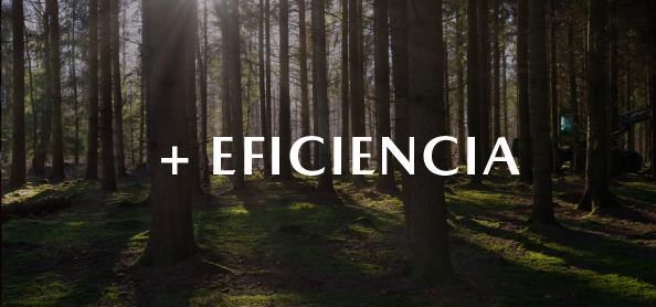 6Eficiencia