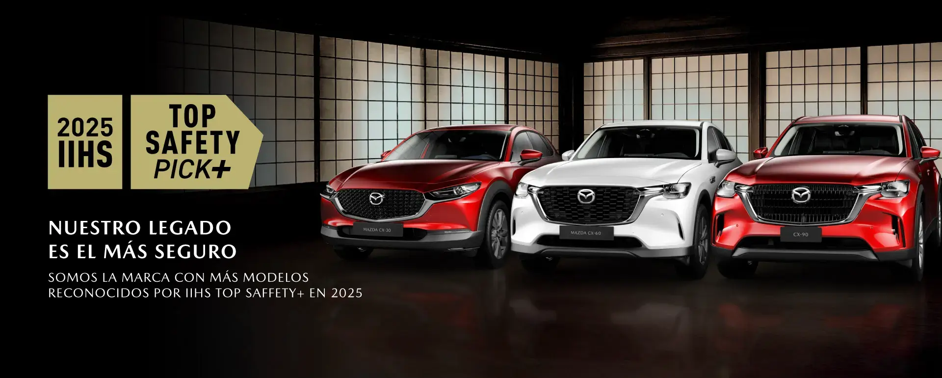 WEB-2023-IIHS