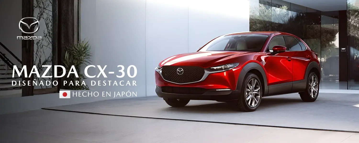 CX-30 Desktop