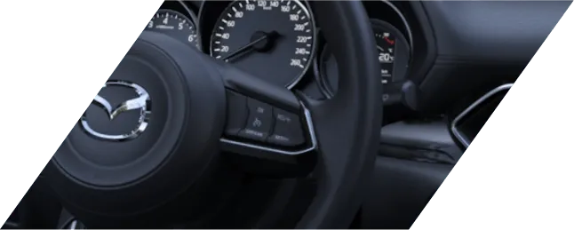 paddle-shifter