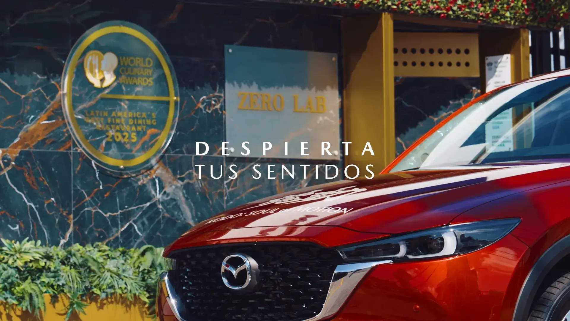 HISTORIA DETRÁS DE ZERO LAB